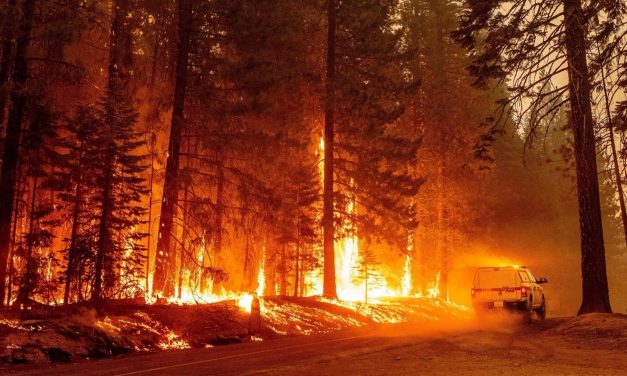 Climate Change Is Getting Worse, And It’s Dire