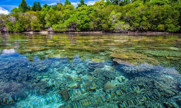 Mabul Island: Barge Brings Misery to Paradise