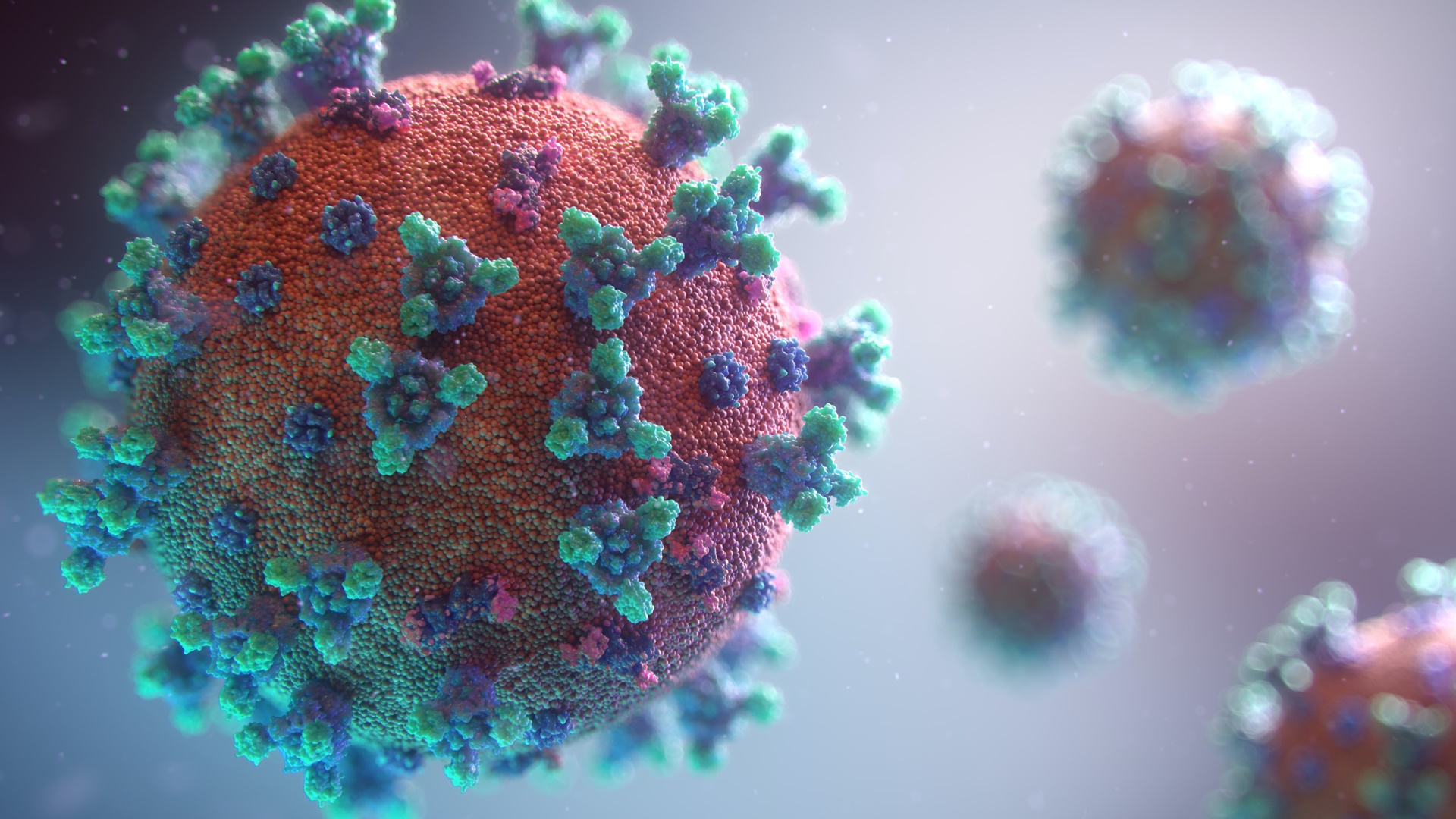 History’s Worst Pandemics