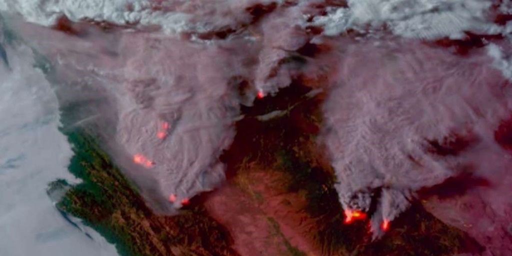 Wildfires Across the World: Where Are the Blazes?