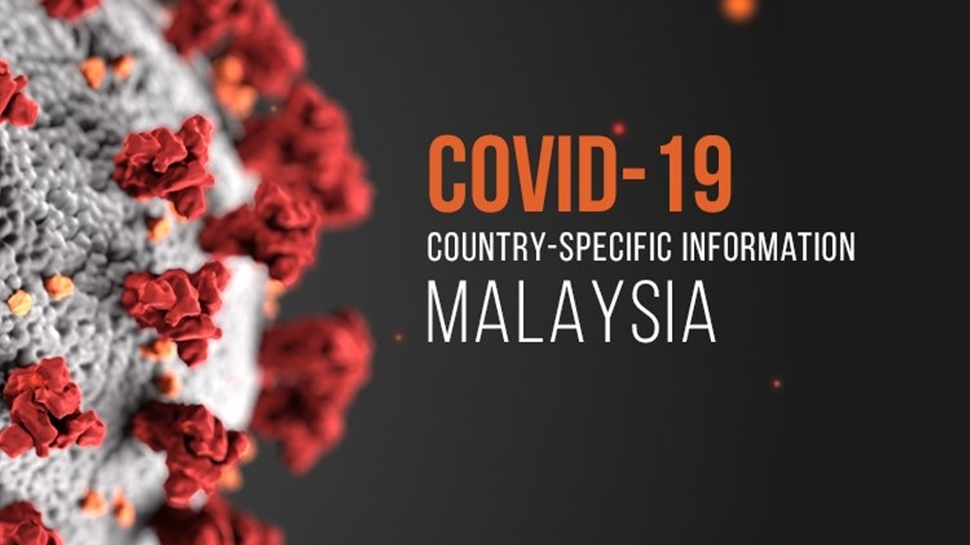 Will The Covid-19 Be Eradicated?