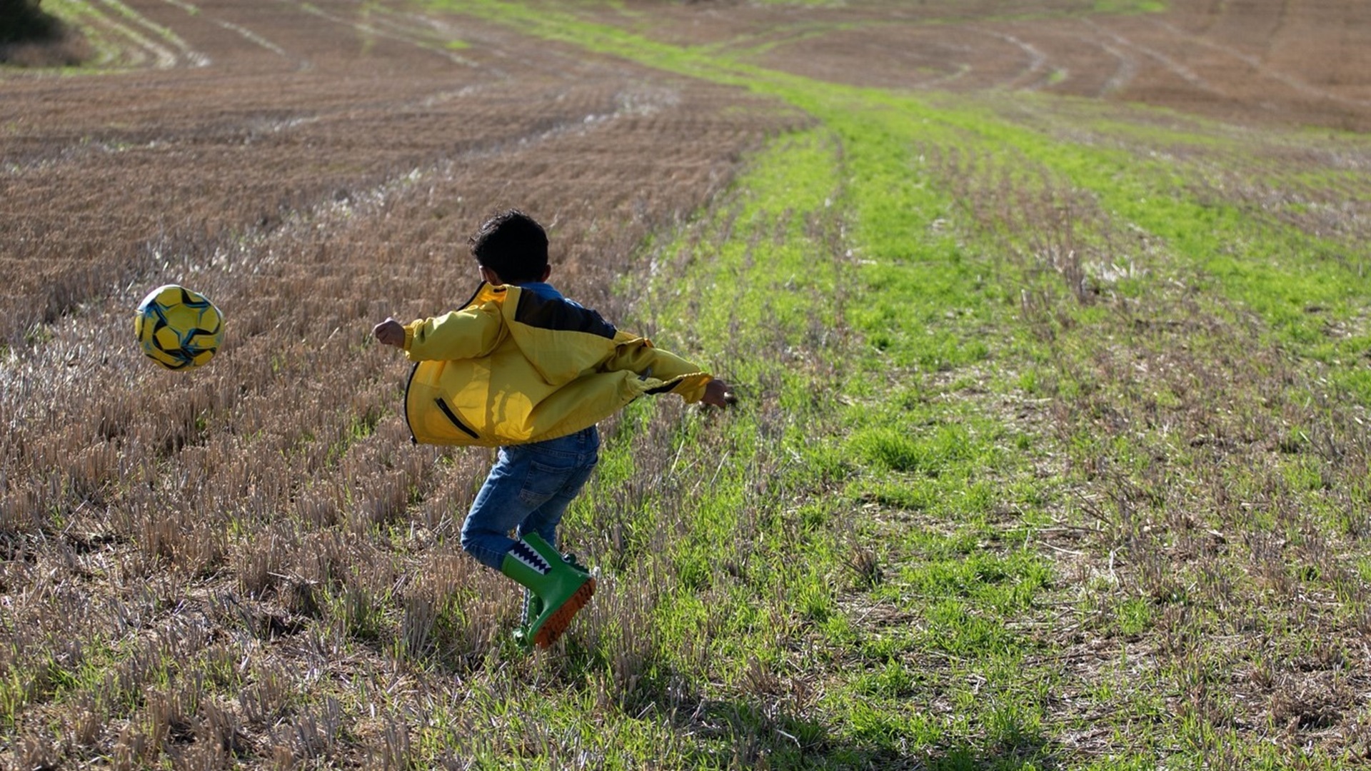 Incorporating Greens for Kid’s Well Being